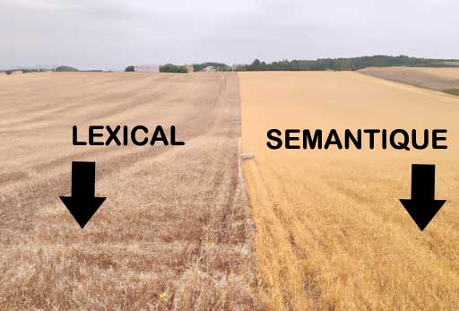 La différence entre champ lexical et champ sémantique