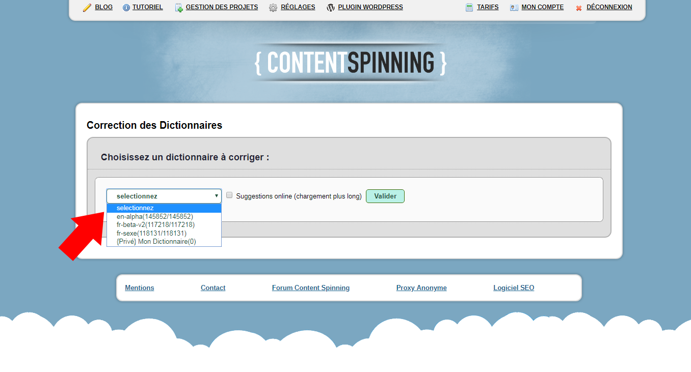 Correction Dictionnaire : Content Spinning