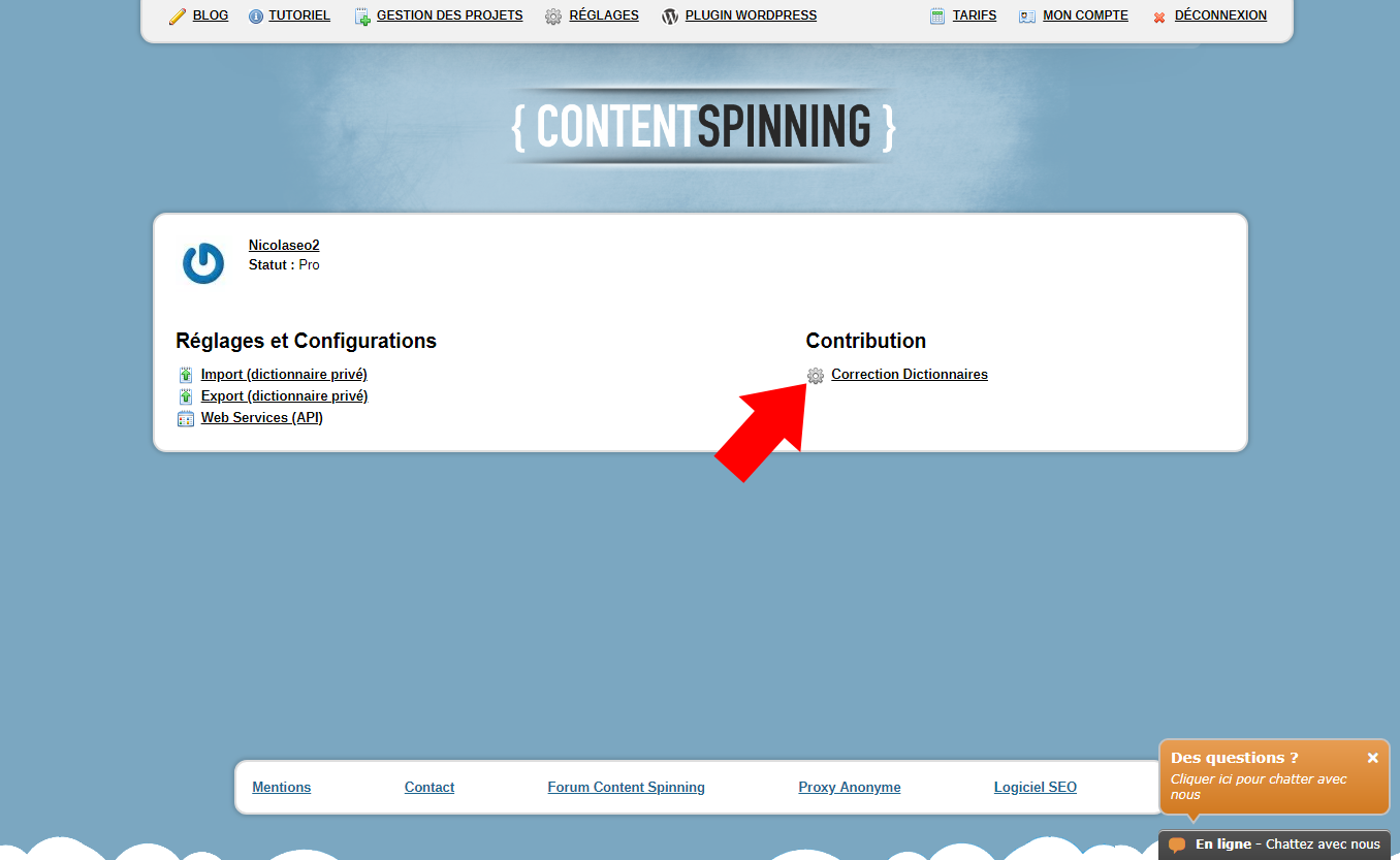 Correction Dictionnaire : Content Spinning